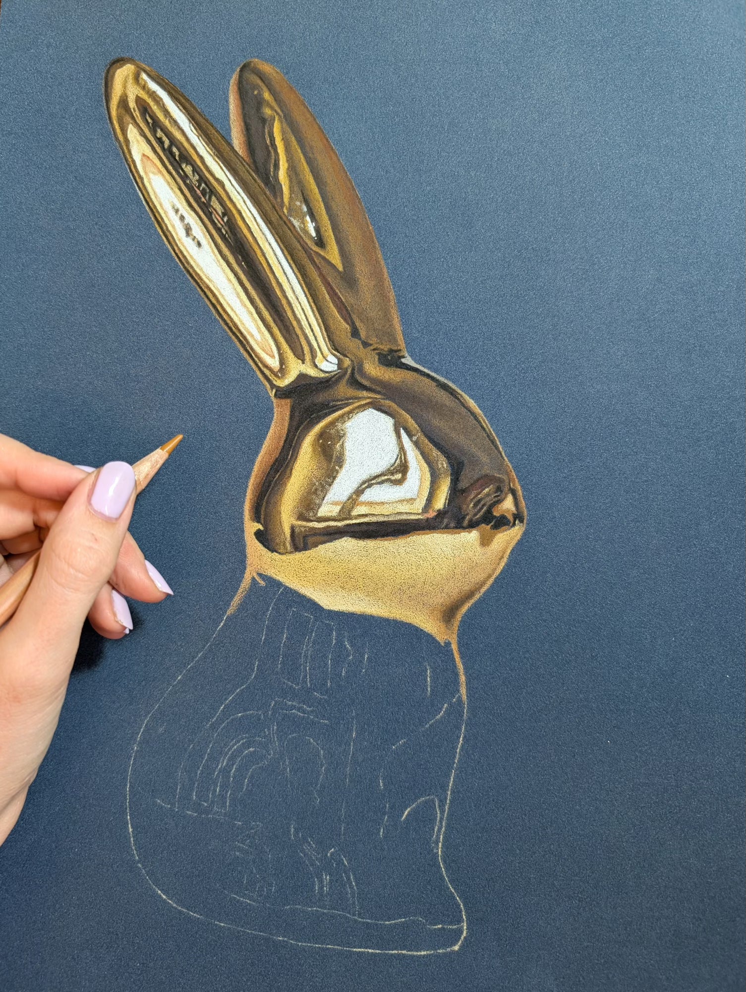 Through The Hare's Eyes