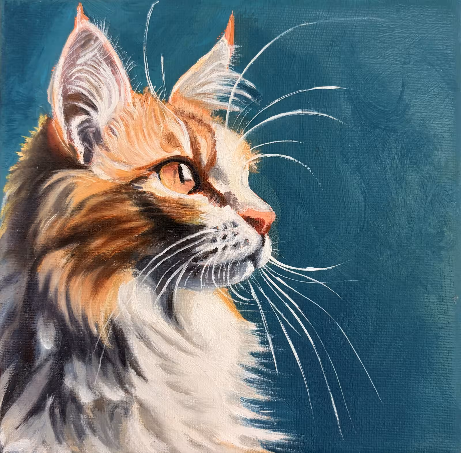Liebe Katzenliebe LKL 06 – Brown and white cat in profile against a teal background, oil on canvas by Martina Adametz