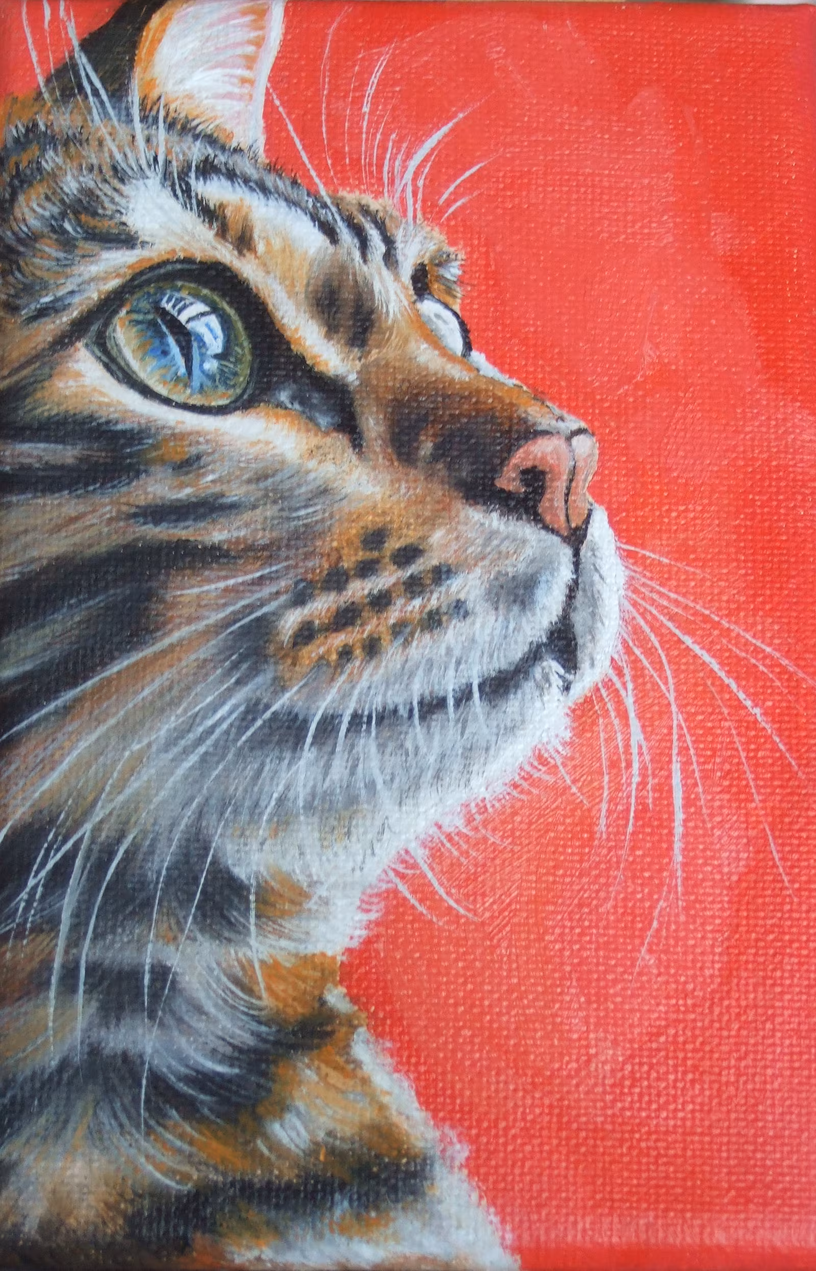 Katzenliebekatzen 11 — Martina Adametz