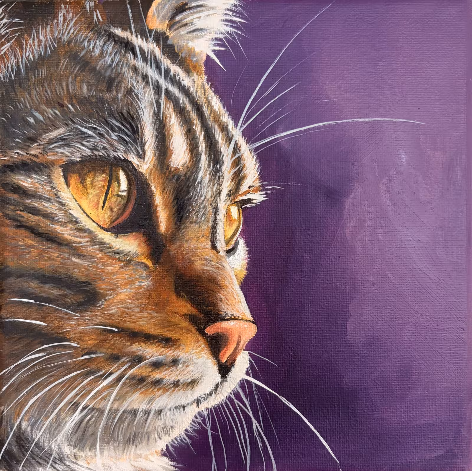 Liebe Katzenliebe LKL 05 – Cat portrait in profile against a purple background, oil on canvas by Martina Adametz