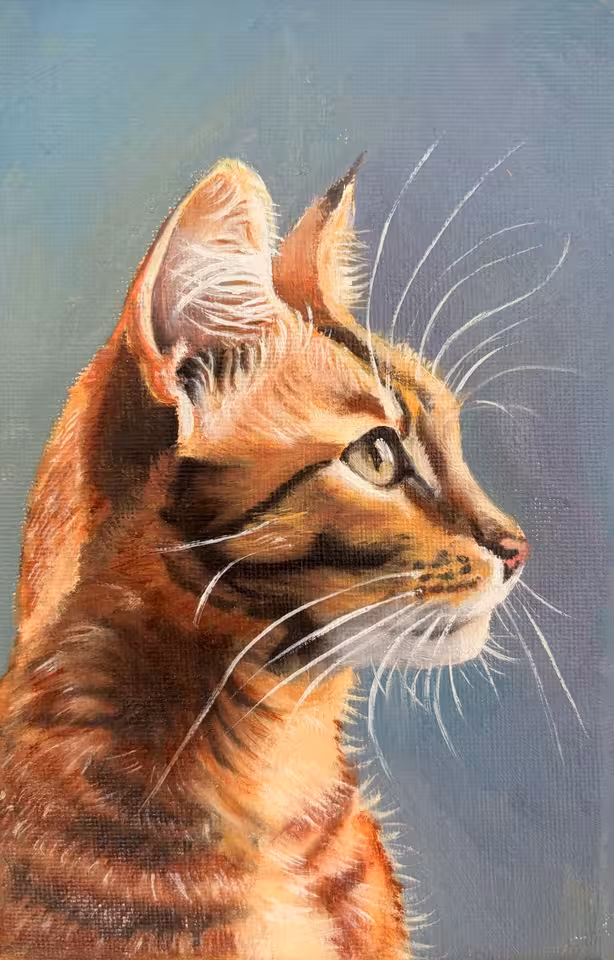 Liebe Katzenliebe LKL 03 – Brown cat in profile against a blue-grey background, oil on canvas by Martina Adametz