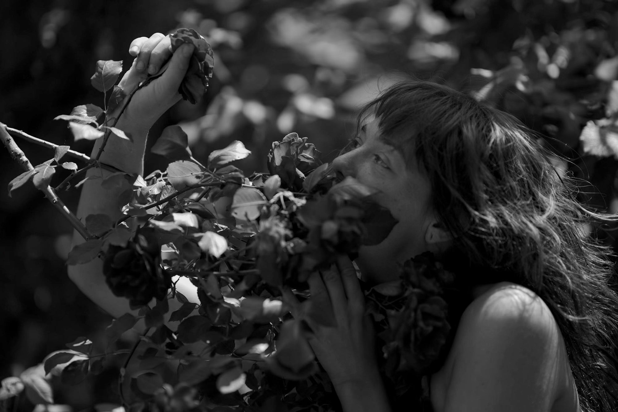 ein foto einer Künstlerin wie sie sich in einen Rosenstrauch wirft
