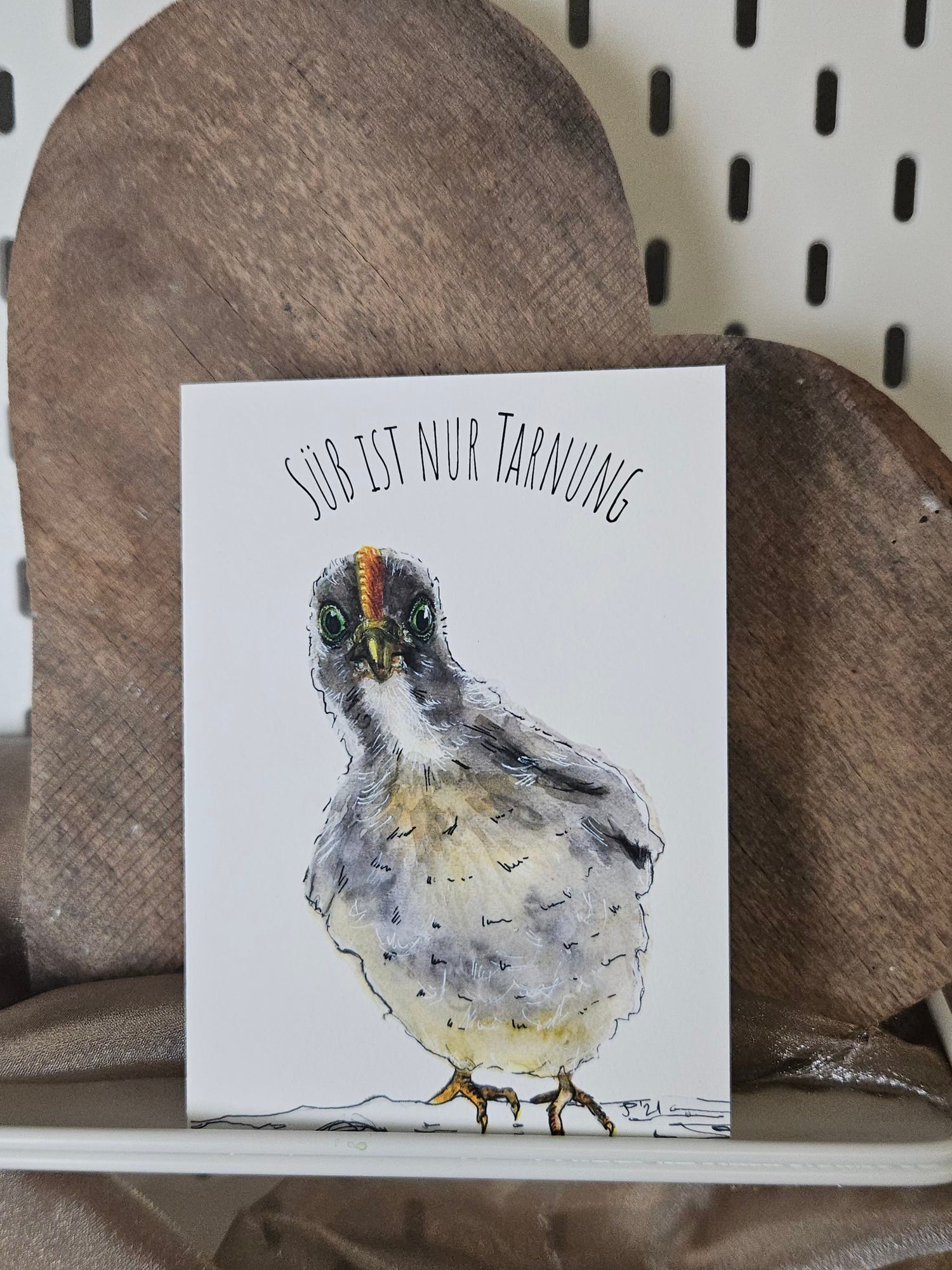 FineArtPrint Grußkarten Federn und Attitüde