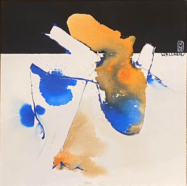 Sunglasses — Ulrich Wallner