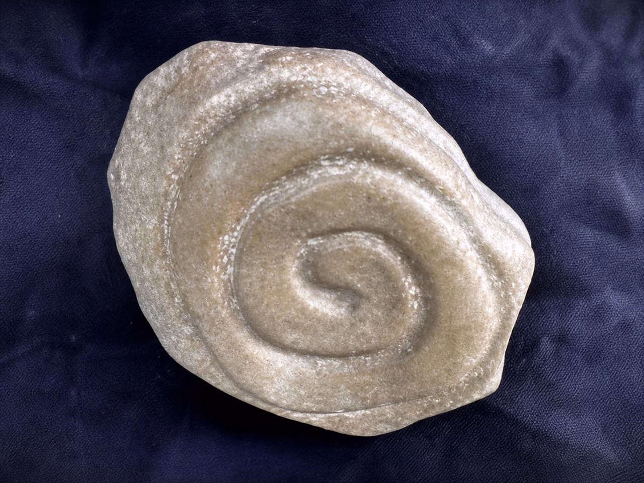 Spirale — Ulrike Rotter