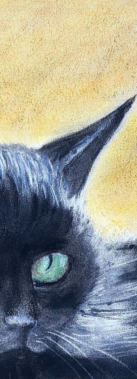 Chat Noir — Brigitte Gindra-Vady