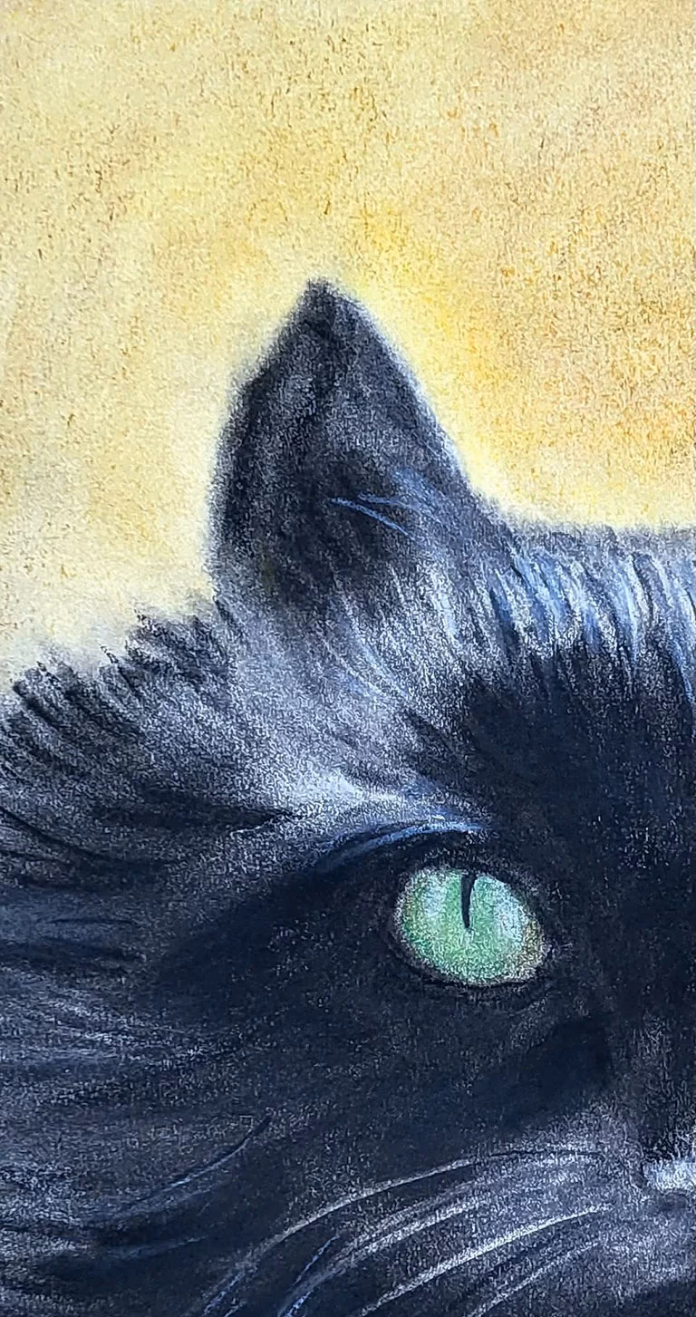 Chat Noir — Brigitte Gindra-Vady